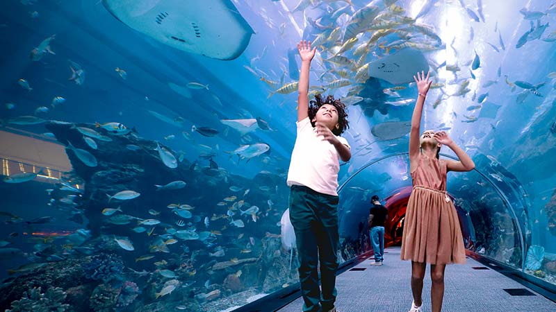Two children reaching up inside an underwater aquarium tunnel, surrounded by fish and marine life swimming above and around them.