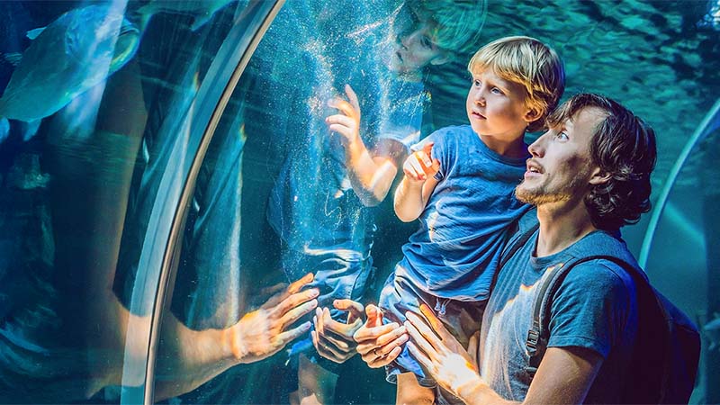 An adult and a child look at fish through the glass of an aquarium tunnel, with blue water and swimming fish visible in the background.